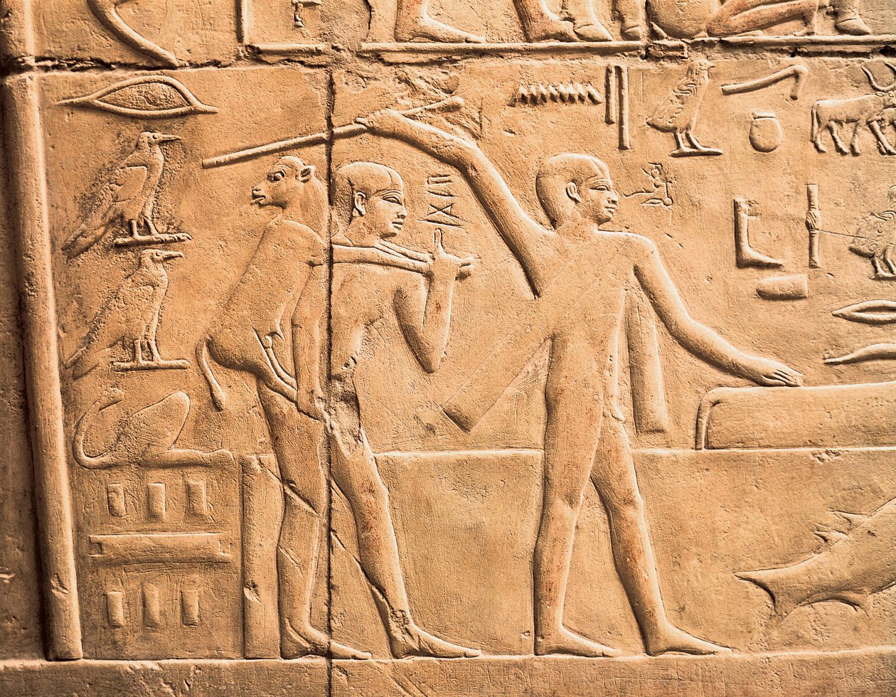 Scene di lavoro agricolo (dettaglio) da Egyptian 4th Dynasty