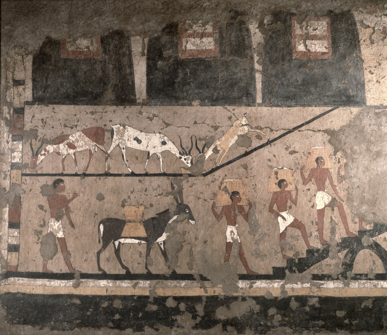 Scena agricola, pittura murale rimossa dalla Mastaba di Ti a Saqqara, Antico Regno, c.2494-2345 a.C. da Egyptian 5th Dynasty