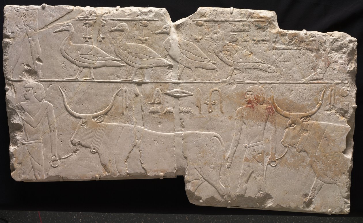 Rilievo di uomini che portano uccelli e bestiame, c.2311-2281 a.C. da Egyptian 6th Dynasty