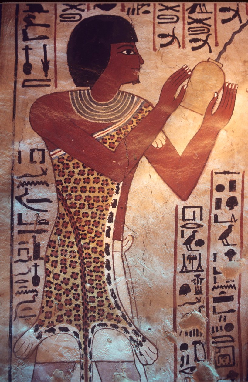 Antico Egitto, Tomba di Sennufer, Tebe, Luxor, dipinto murale, affresco, murale, il figlio di Sennufer che presiede al banchetto funebre, indossando una veste di pelle di leopardo da Egyptian Egyptian