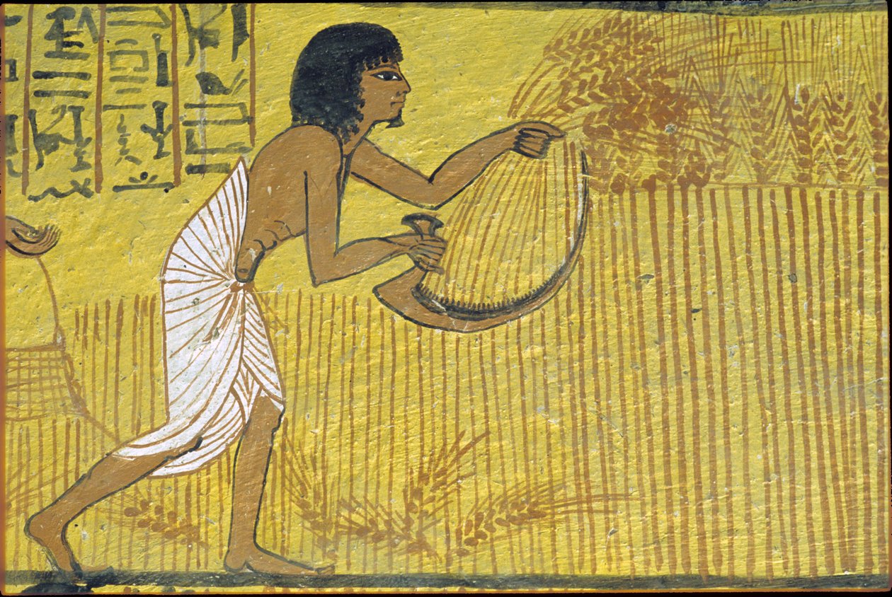 Antico Egitto, pittura murale, Tomba di Sennedjem, Tomba dei Nobili, Tebe, Deir el Medina da Egyptian Egyptian
