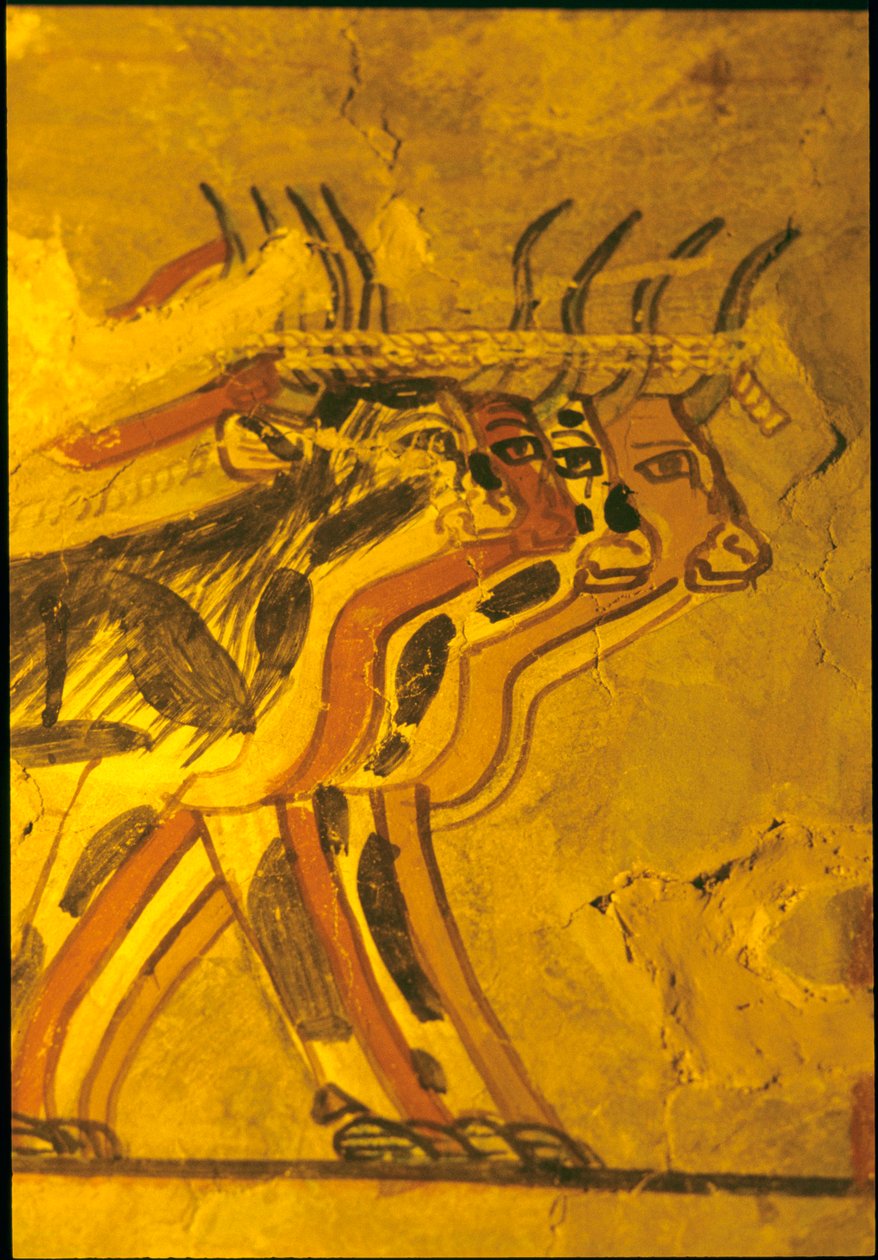 Antico Egitto, Pittura murale, Tomba di Sennufer, Tomba dei Nobili, Tebe da Egyptian Egyptian