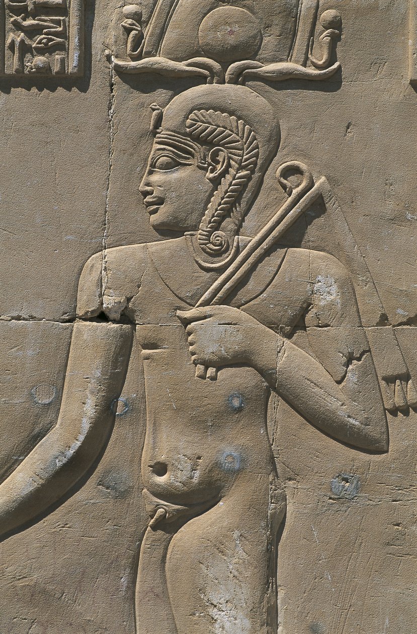 Egitto, Deserto Libico, Oasi di Al-Dakhilah (Dakhla), rilievo nel tempio egizio da Egyptian Egyptian