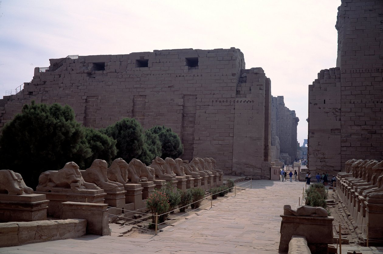 Antichità egizia: viale (dromos) dei criosphinx a Karnak, Luxor, Egitto da Egyptian Egyptian