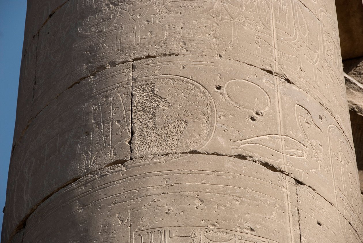 Antichità egizia: dettaglio di una colonna con cartiglio cancellato a causa della "damnatio memoriae", cancellazione dei cartigli di alcuni faraoni considerati eretici dai loro successori, Tempio di Luxor. Riva Est (Tebe), Egitto da Egyptian Egyptian