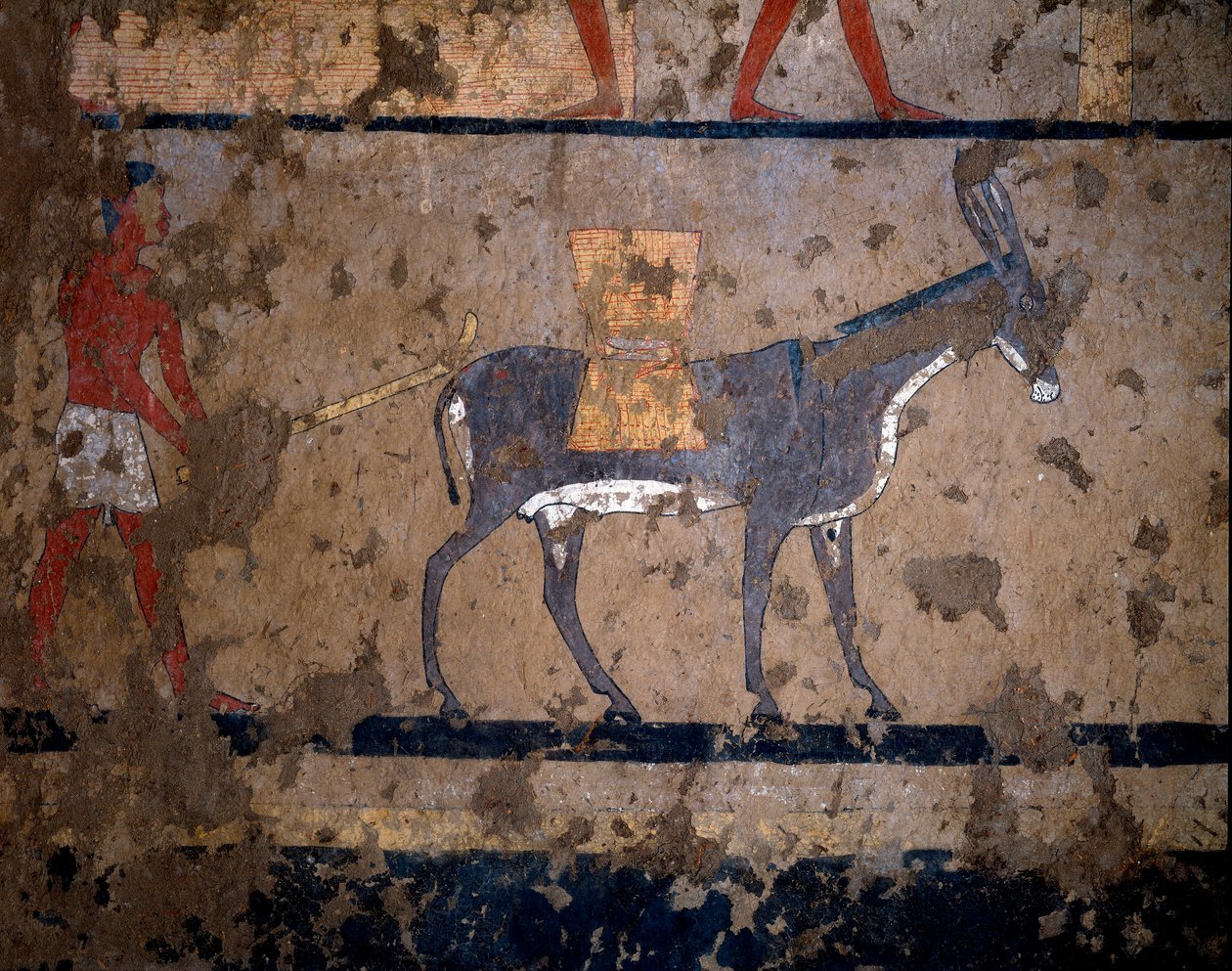 Antichità egizia: il trasporto del grano sul dorso di un mulo da Egyptian Egyptian