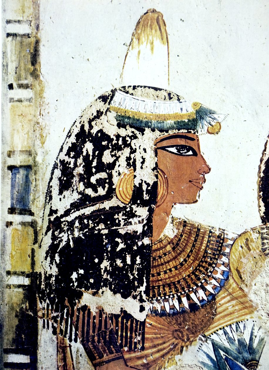 Pittura murale di una tomba egizia da Egyptian Egyptian