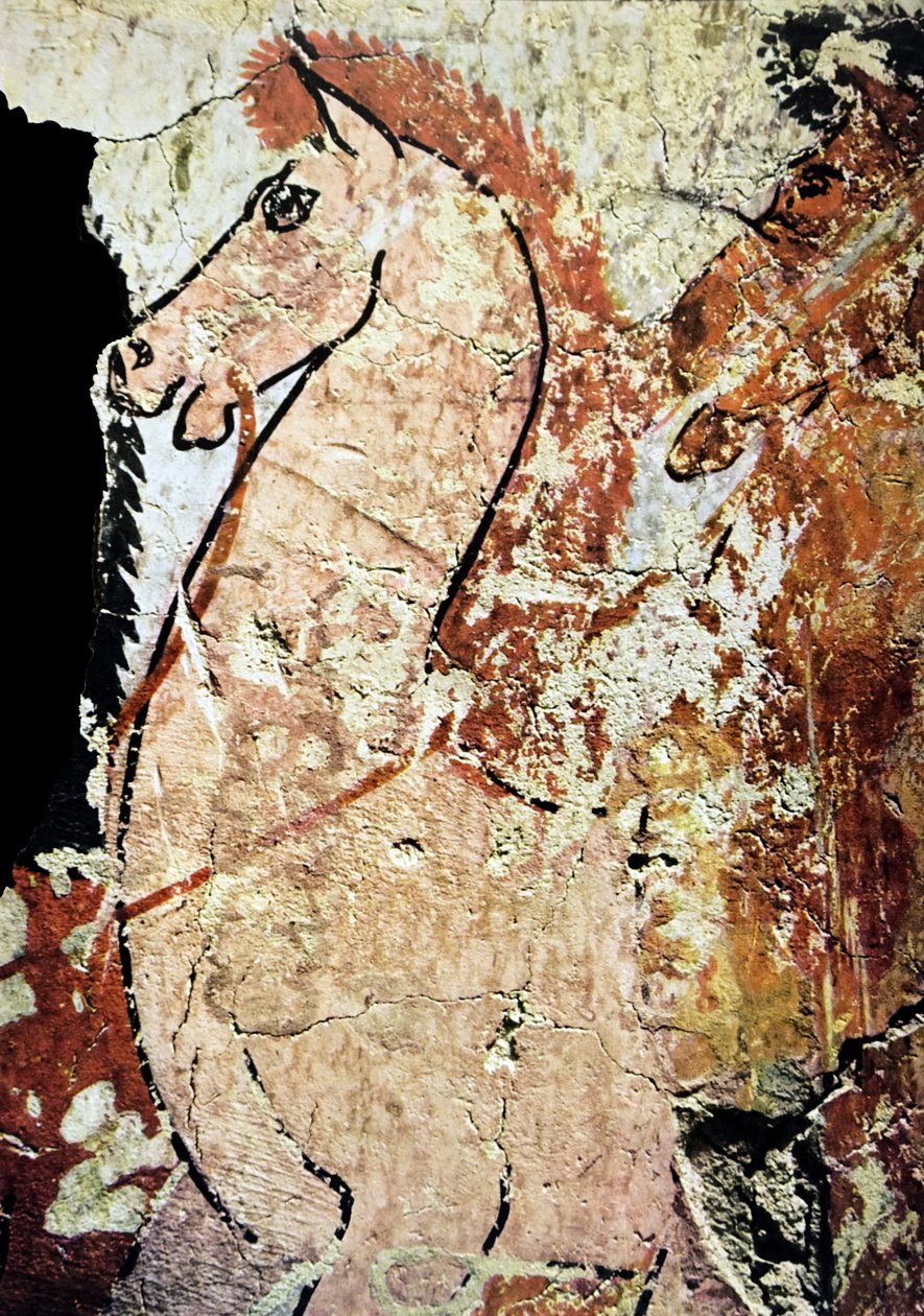 Pittura murale di una tomba egizia da Egyptian Egyptian