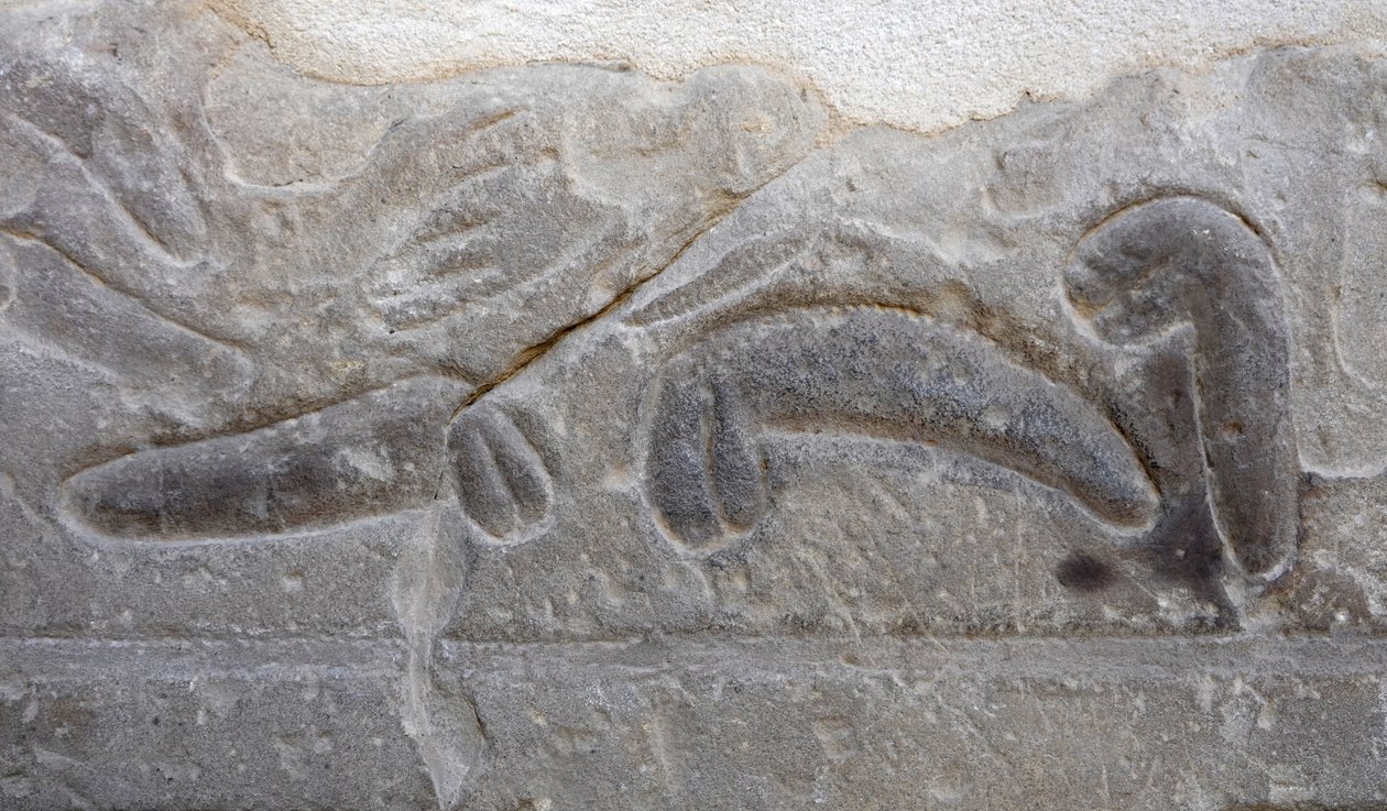 Pile di genitali maschili tagliati dal nemico, Tempio di Horus, Edfu da Egyptian Egyptian
