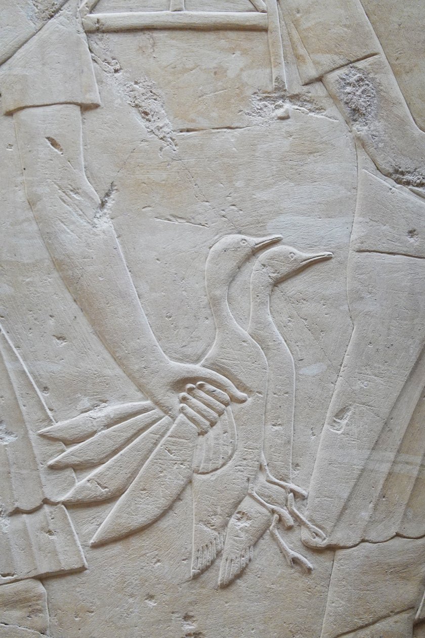 Mano che tiene 2 oche per le ali, tomba di Ramose da Egyptian Egyptian