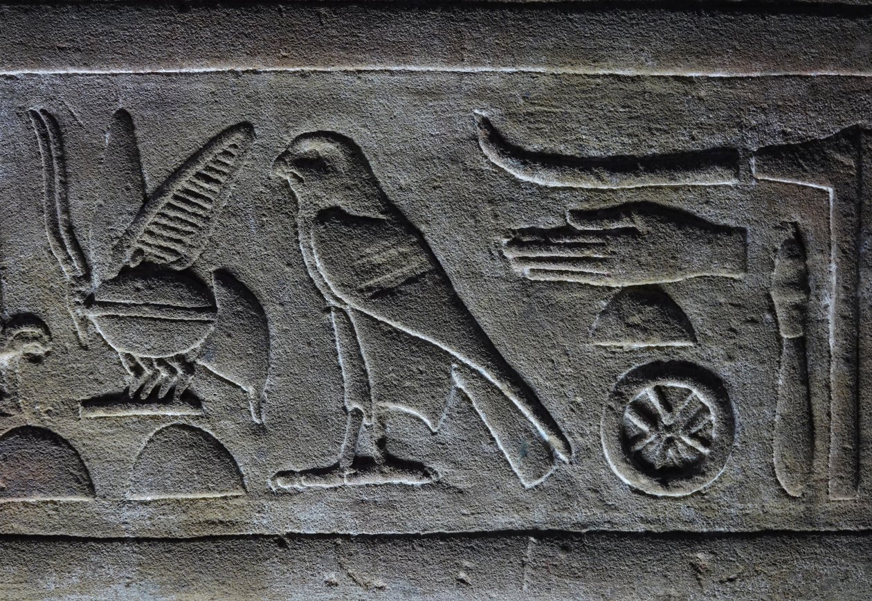 Geroglifici, Ape del Faraone e il Falco di Horus, Tempio di Horus, Edfu da Egyptian Egyptian