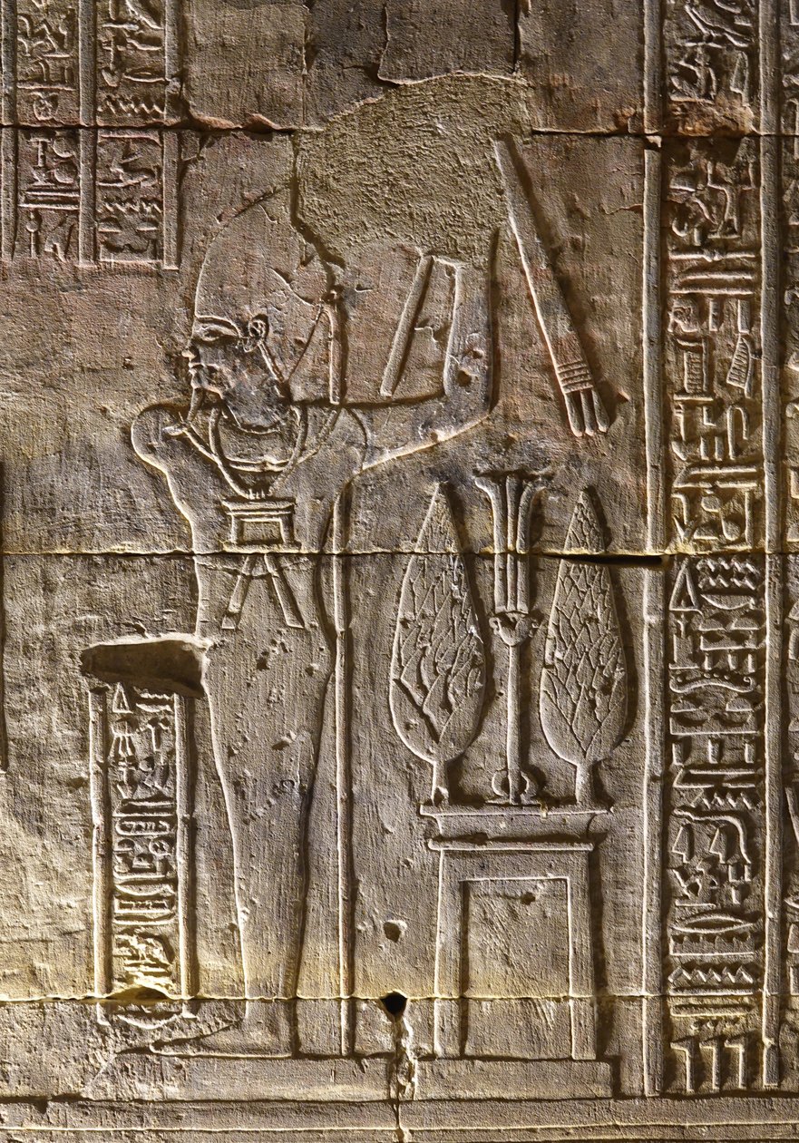 Il Faraone e i suoi attributi, Tempio di Horus a Edfu da Egyptian Egyptian