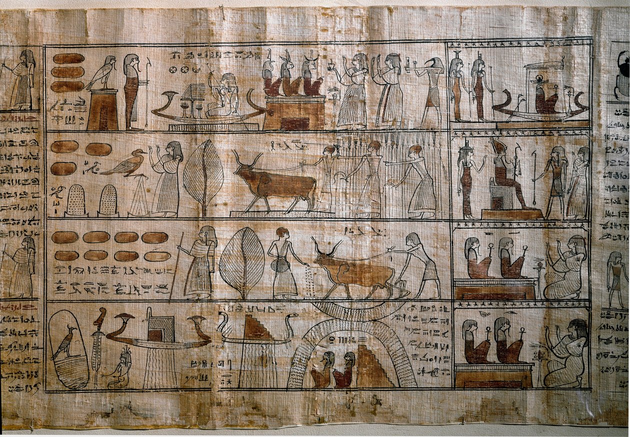 Antichità egiziana: i Campi Elisi. Papiro di un Libro dei Morti. Periodo tolemaico. Museo Egizio, Torino da Egyptian Ptolemaic Period