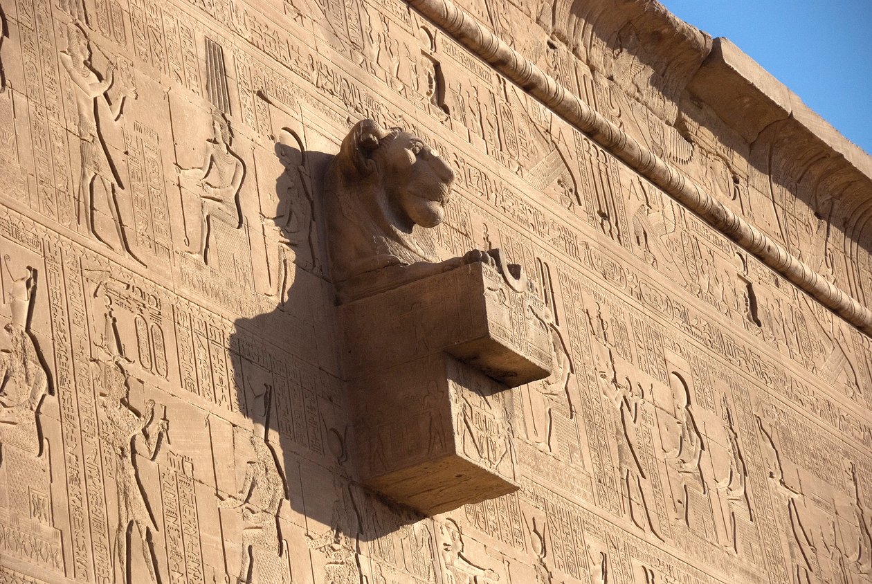 Antichità egizia: gargoyle a testa di leone, tempio di Hathor, Denderah, Egitto da Egyptian Ptolemaic Period