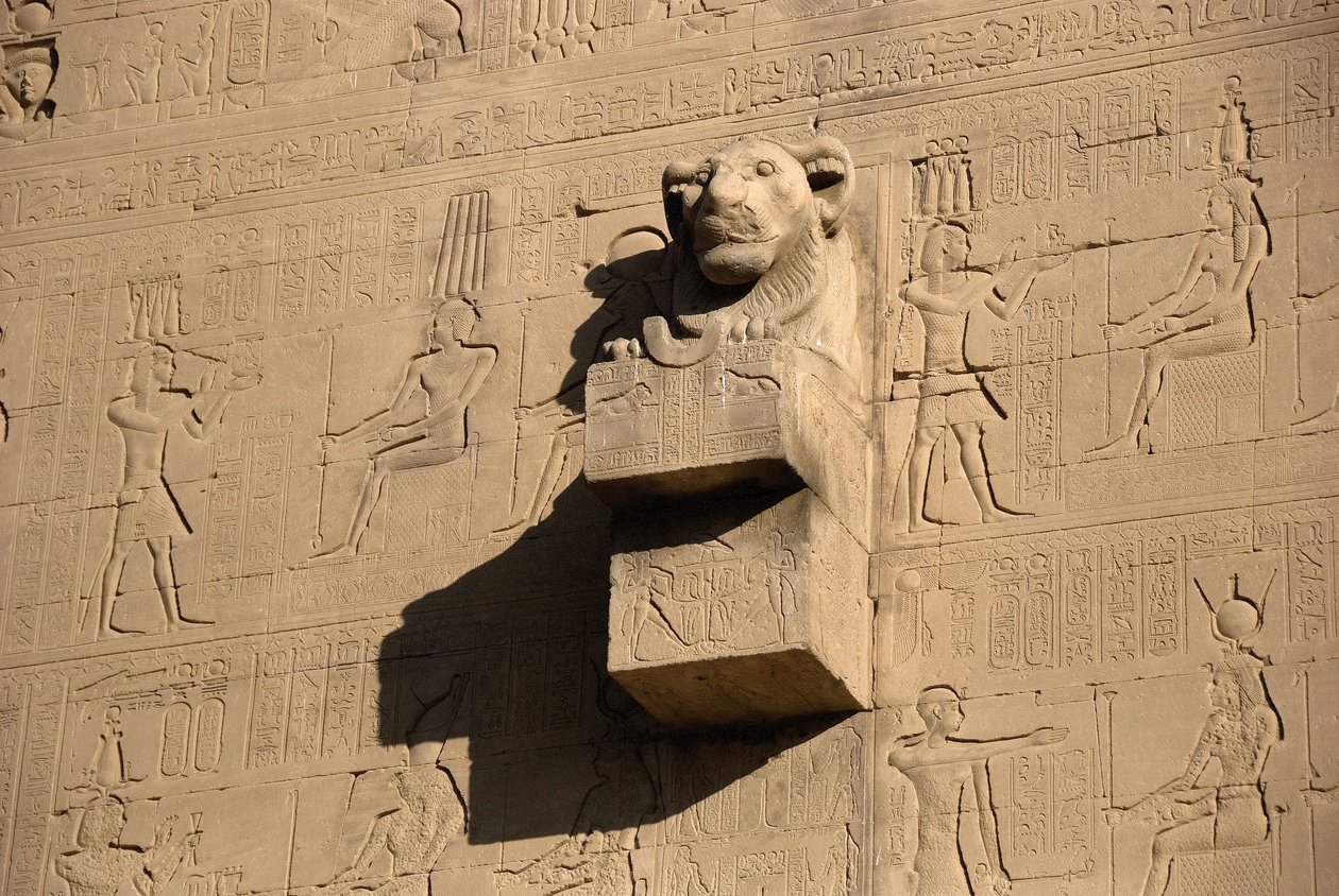 Antichità egizia: gargoyle a testa di leone, tempio di Hathor, Denderah, Egitto da Egyptian Ptolemaic Period