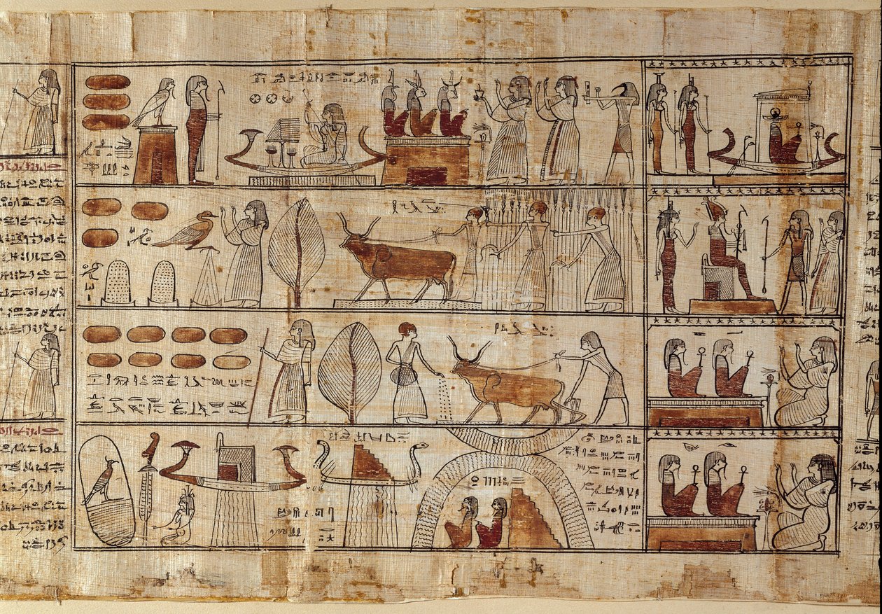 Antichità egiziane: i Campi Elisi. Pittura su papiro dal Libro dei Morti. Periodo tolemaico. Museo Egizio, Torino da Egyptian Ptolemaic Period