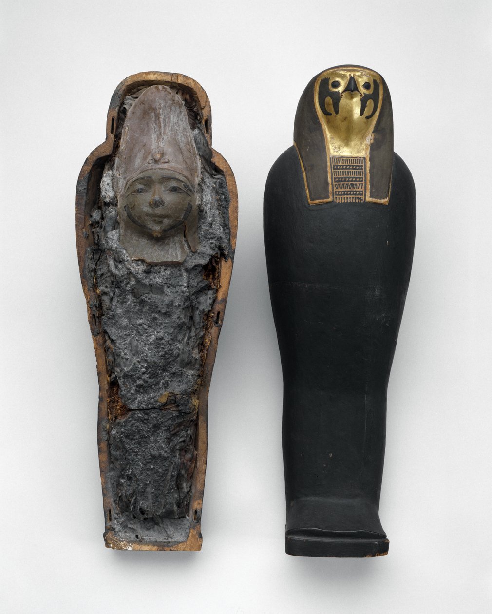 Bara a forma di falco con mummia di grano, 332-30 a.C. da Egyptian Ptolemaic Period