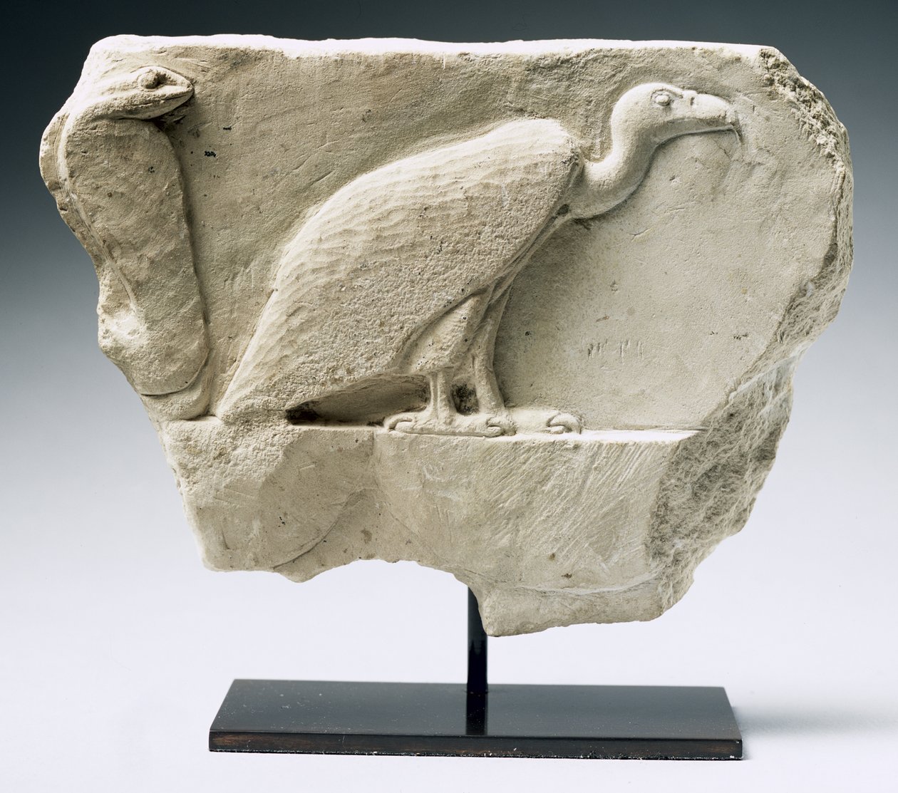 Rilievo raffigurante un avvoltoio e un cobra da Egyptian Ptolemaic Period