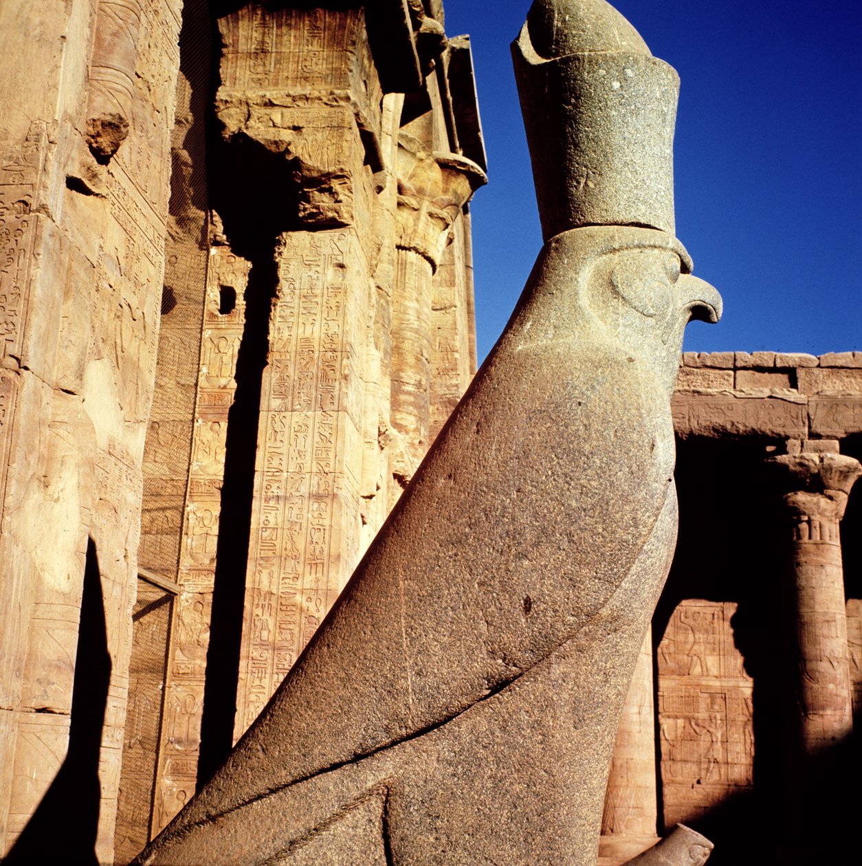 Statua di Horus, nel Cortile delle Offerte del Tempio di Horus da Egyptian Ptolemaic Period