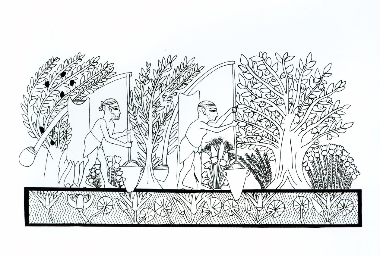 Un giardino egiziano antico da Egyptian School