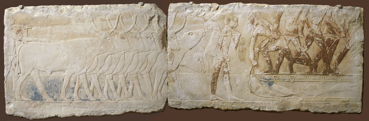 Rilievo di Contadini che Guidano il Bestiame e Pescano, Antico Regno, 2450-2290 a.C. da Egyptian School