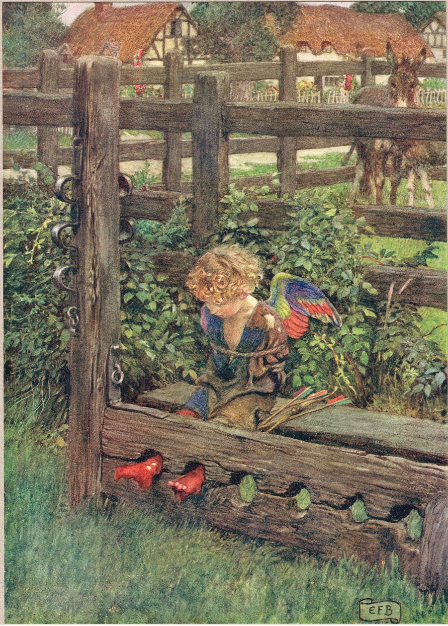 Illustrazione da 