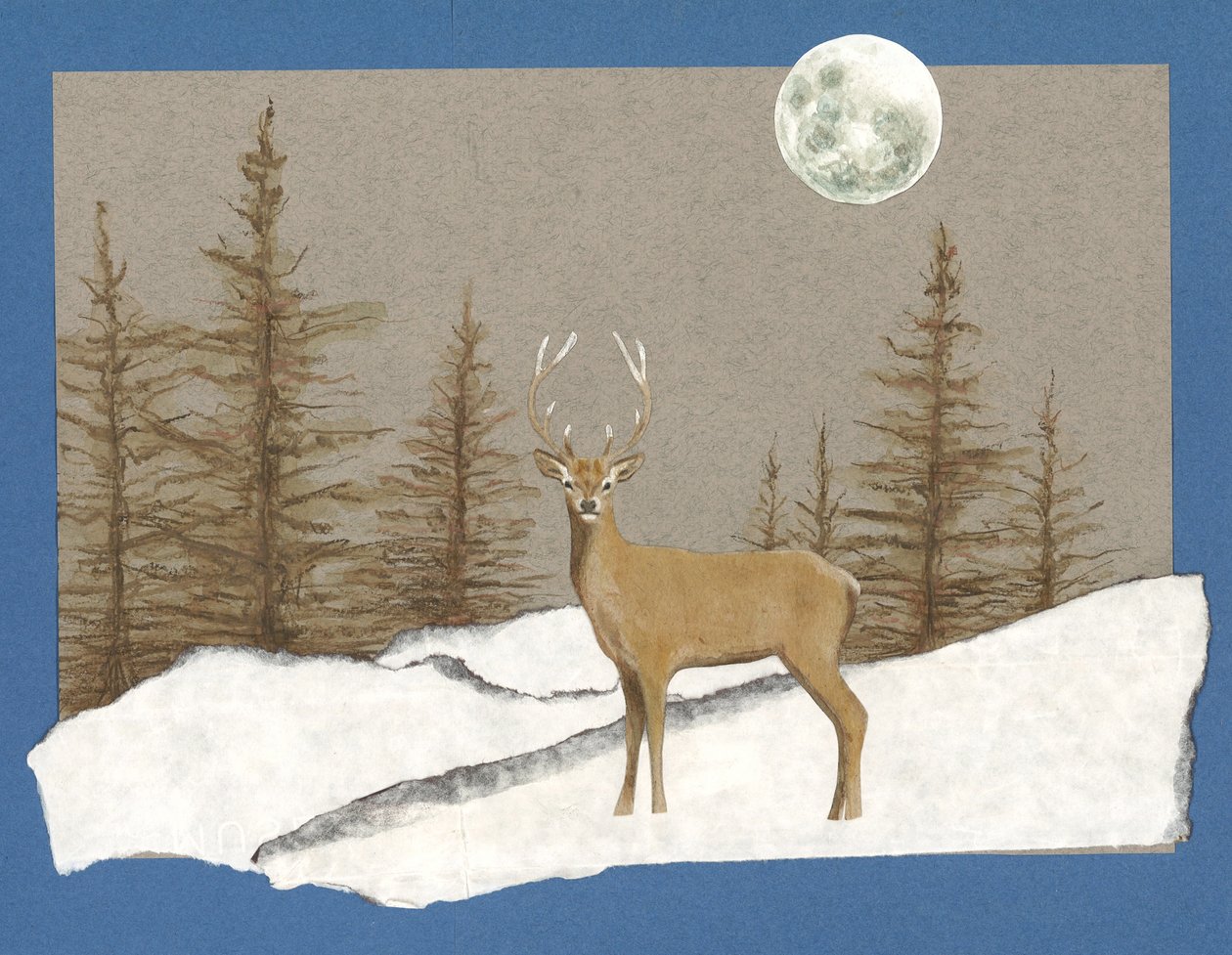 Incontro notturno, 2012 (acquerello su carta e collage) da Eleanor Grafton