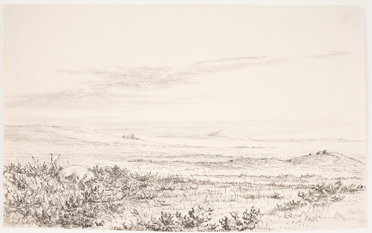 Paesaggio collinare con due volpi da Eleonore Christine Tscherning