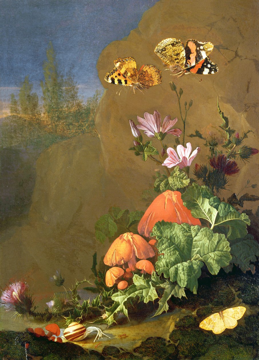 Natura morta di suolo forestale con fiori, funghi e lumache da Elias van den Broeck