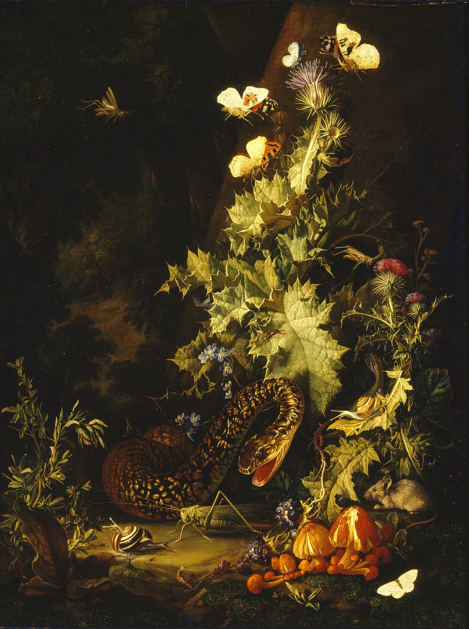 Natura morta con un serpente da Elias van den Broeck