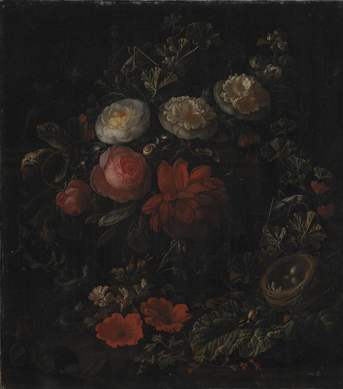 Fiori da Elias van den Broeck