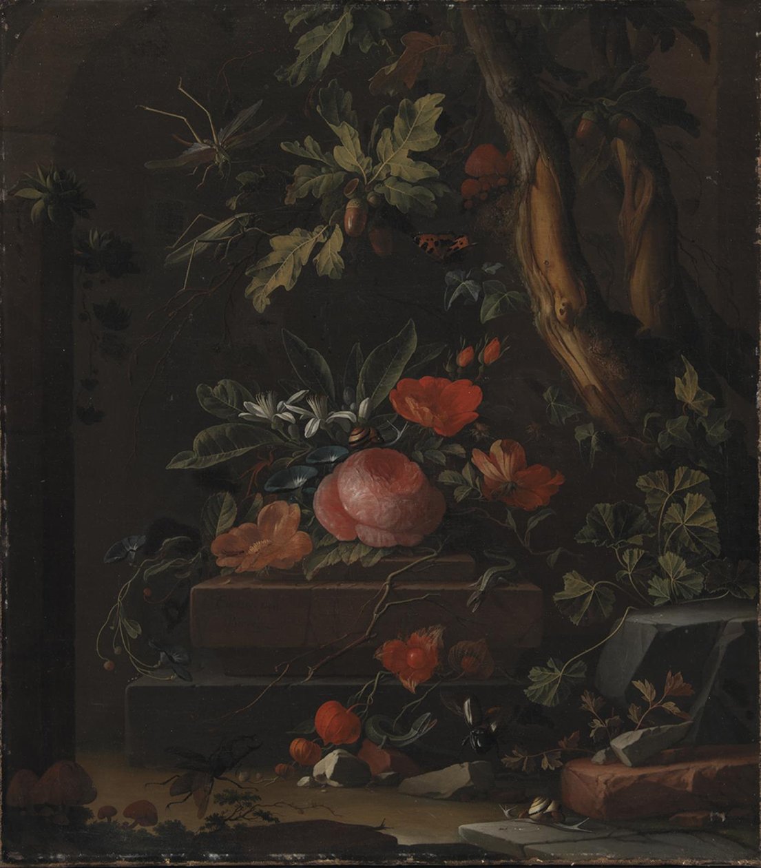 Fiori da Elias van den Broeck