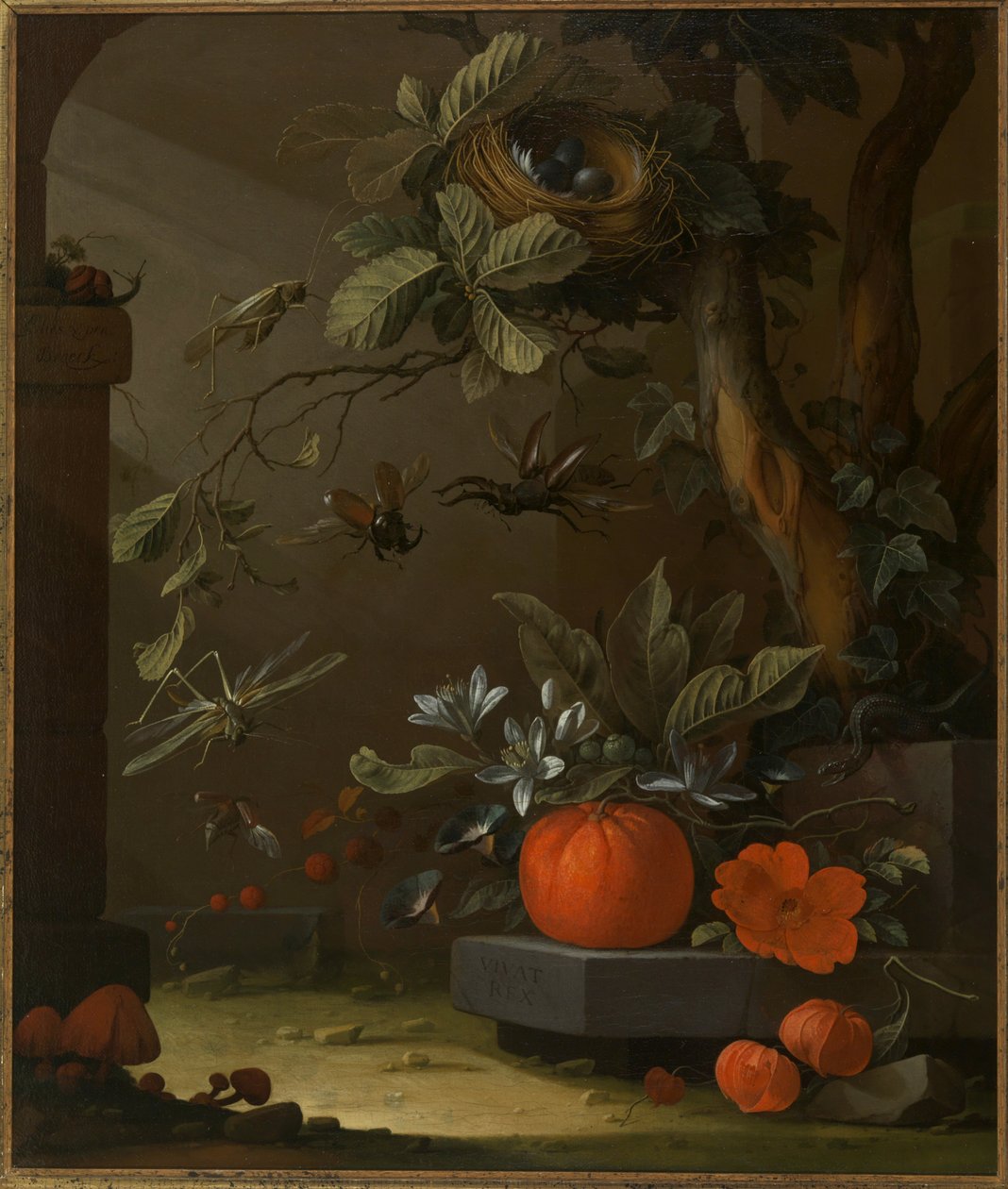Vivat Rex da Elias van den Broeck