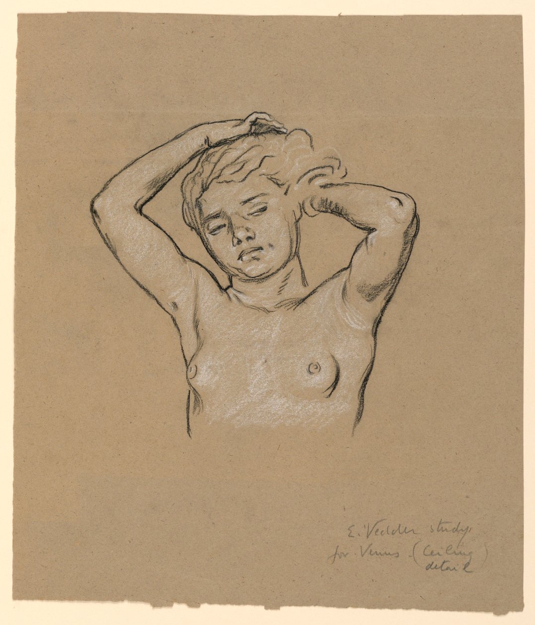 Disegno, Studio per "Venere", 1885 ca. da Elihu Vedder