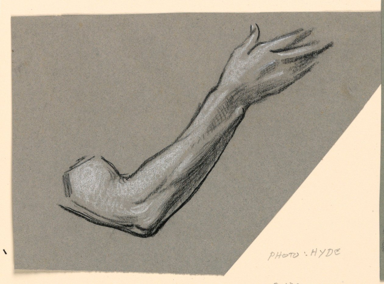 Disegno, particolare di un braccio, 1885 ca. da Elihu Vedder