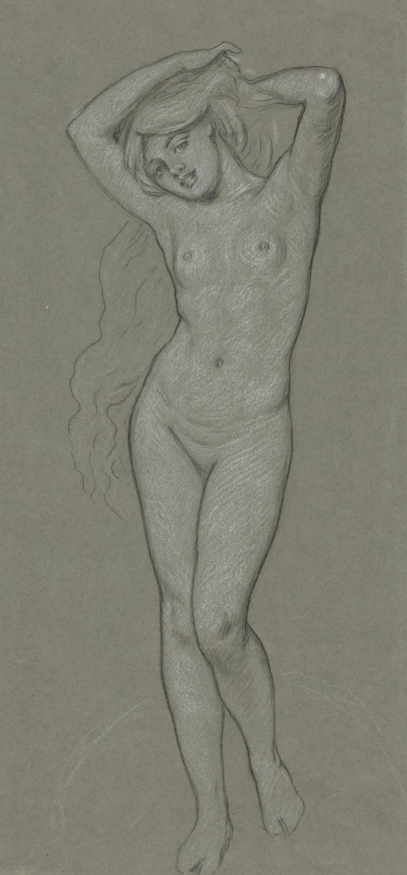 Studio per la figura di Venere da Elihu Vedder