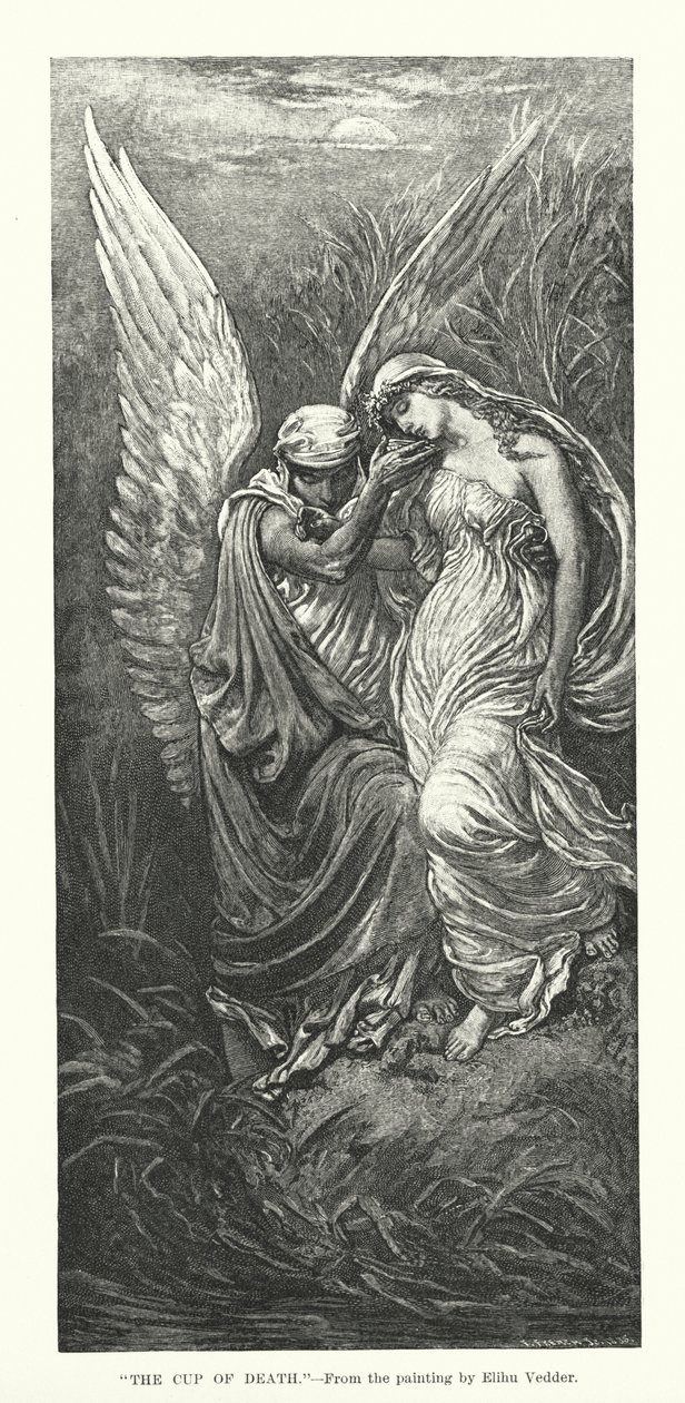La coppa della morte (incisione) da Elihu Vedder