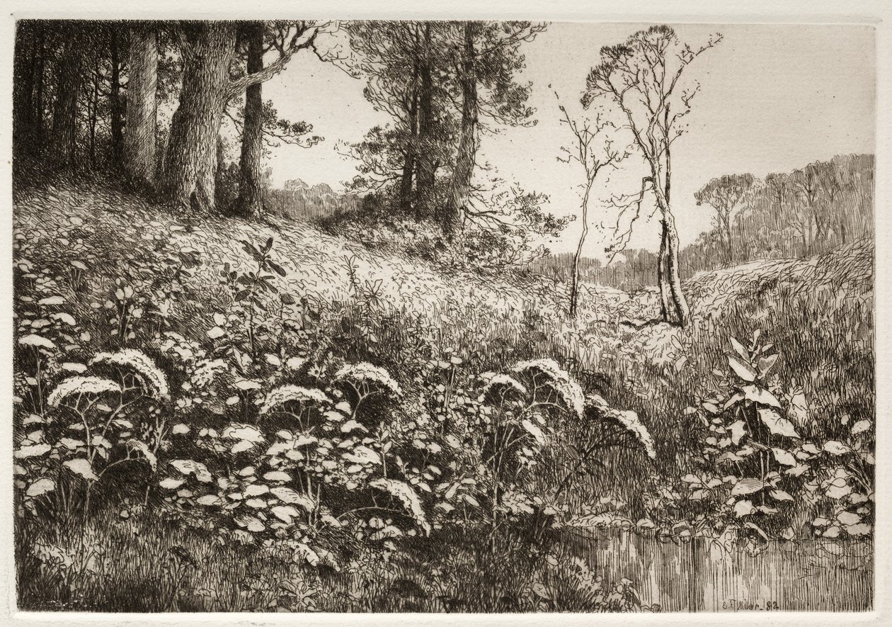 Un Pomeriggio Estivo da Elis F. Miller