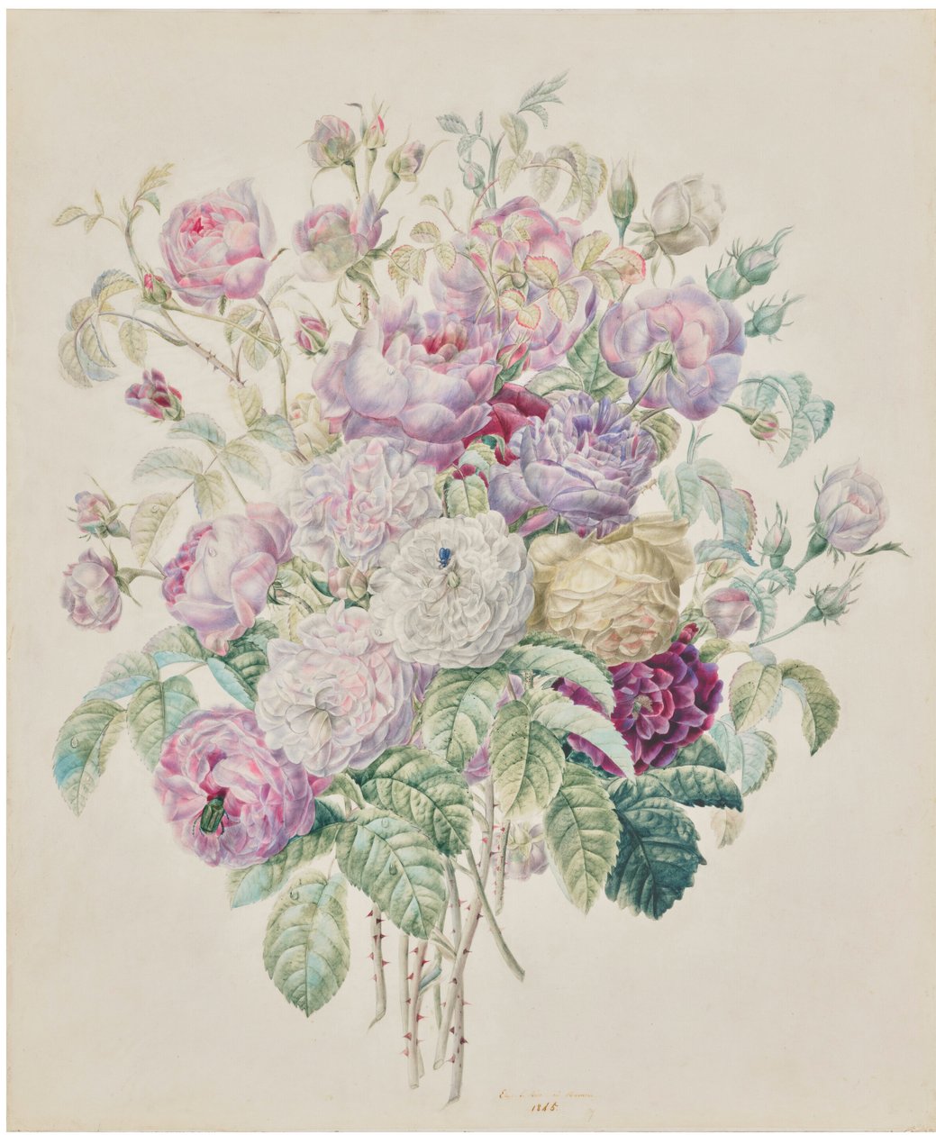 Un bouquet di rose Bourbon da Elisa Emilie Lemire