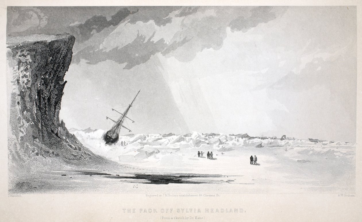 Il branco al largo di Sylvia Headland, illustrazione da 