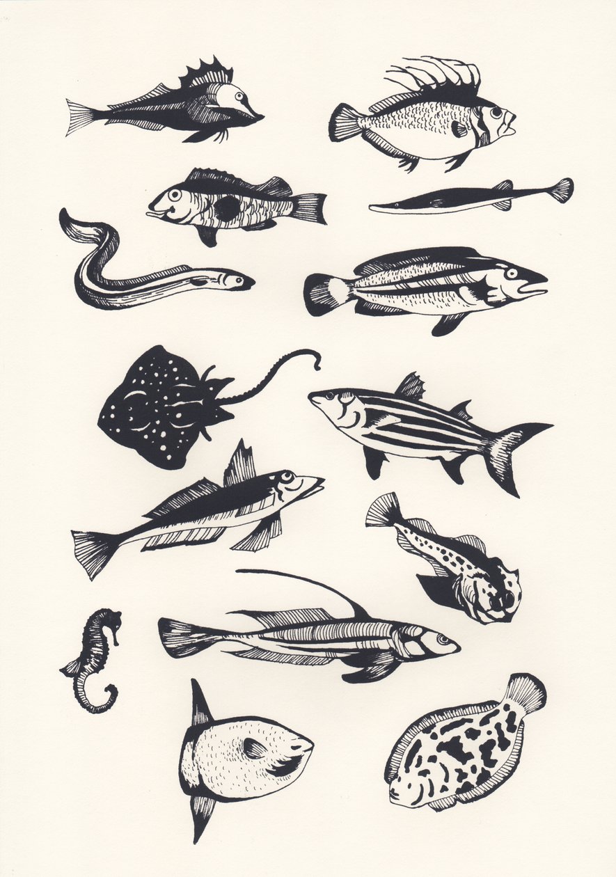 Pesce Monotono, 2015 da Eliza Southwood