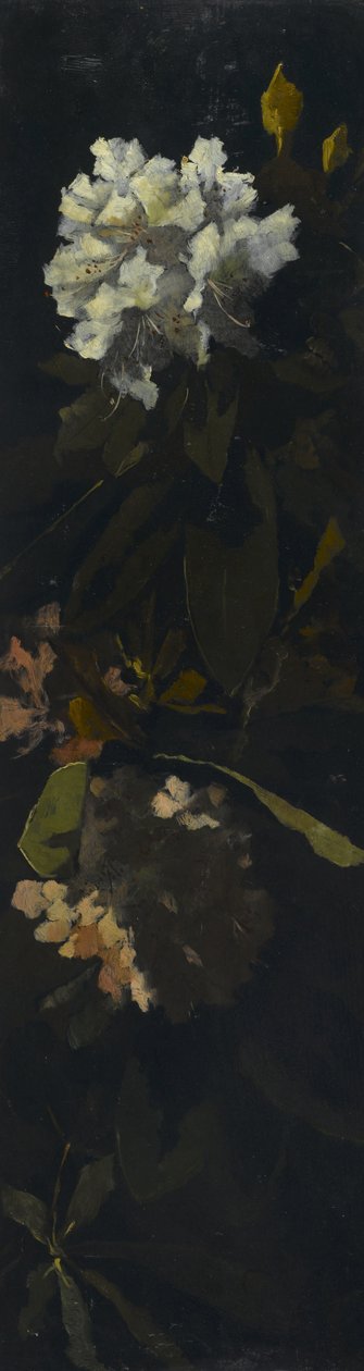 Rododendri da Elizabeth Boott Duveneck