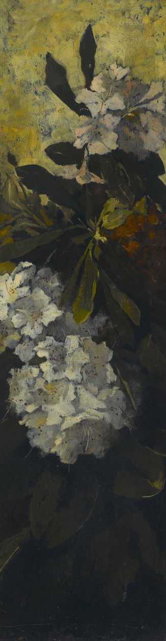 Rododendri da Elizabeth Boott Duveneck