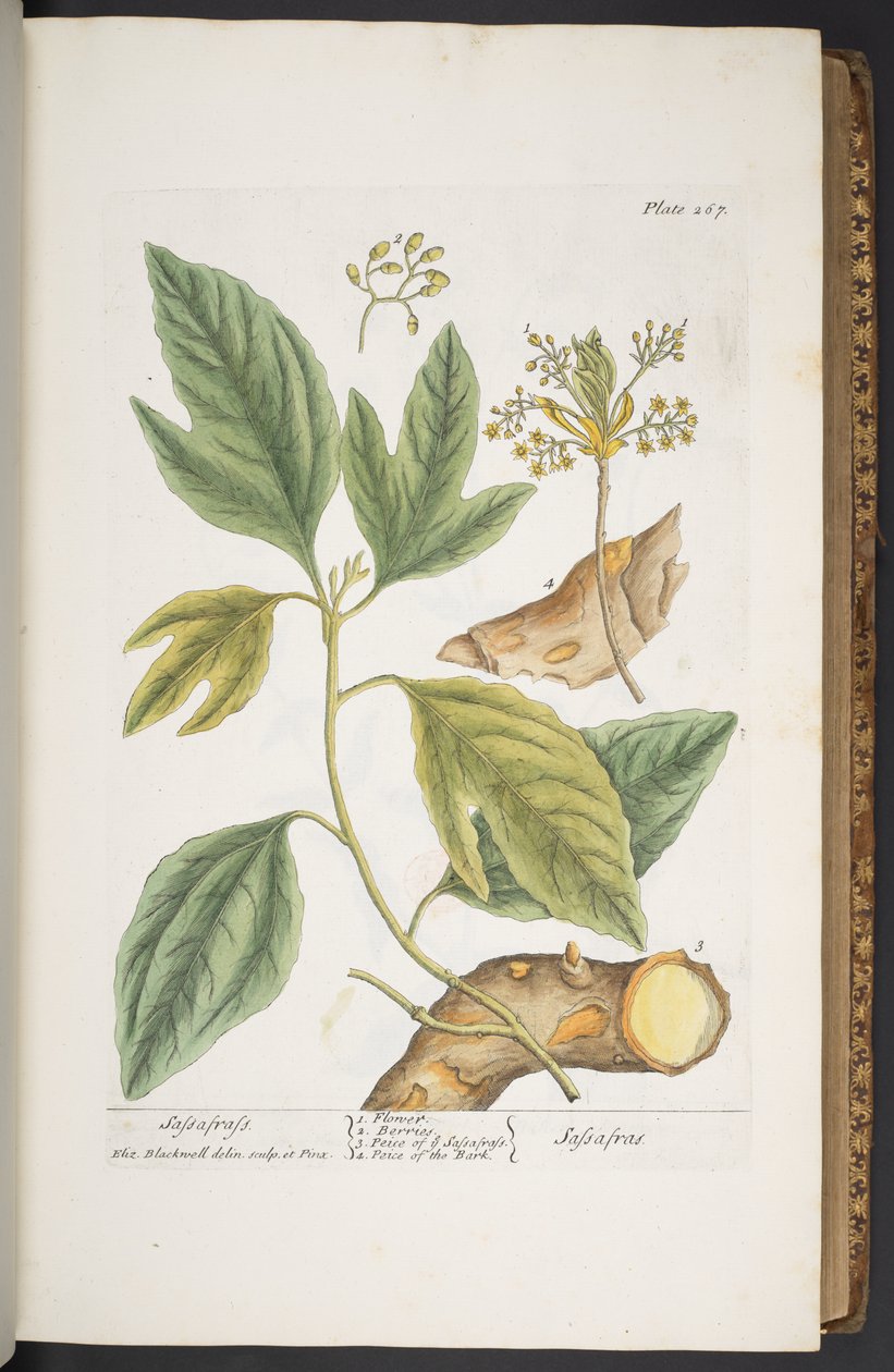 Tavola 267, da 