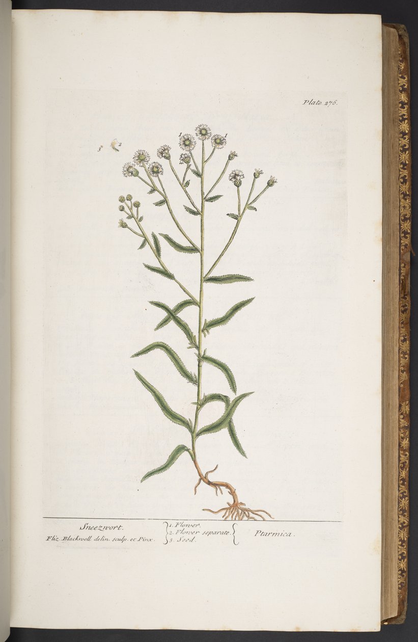 Tavola 276, da 