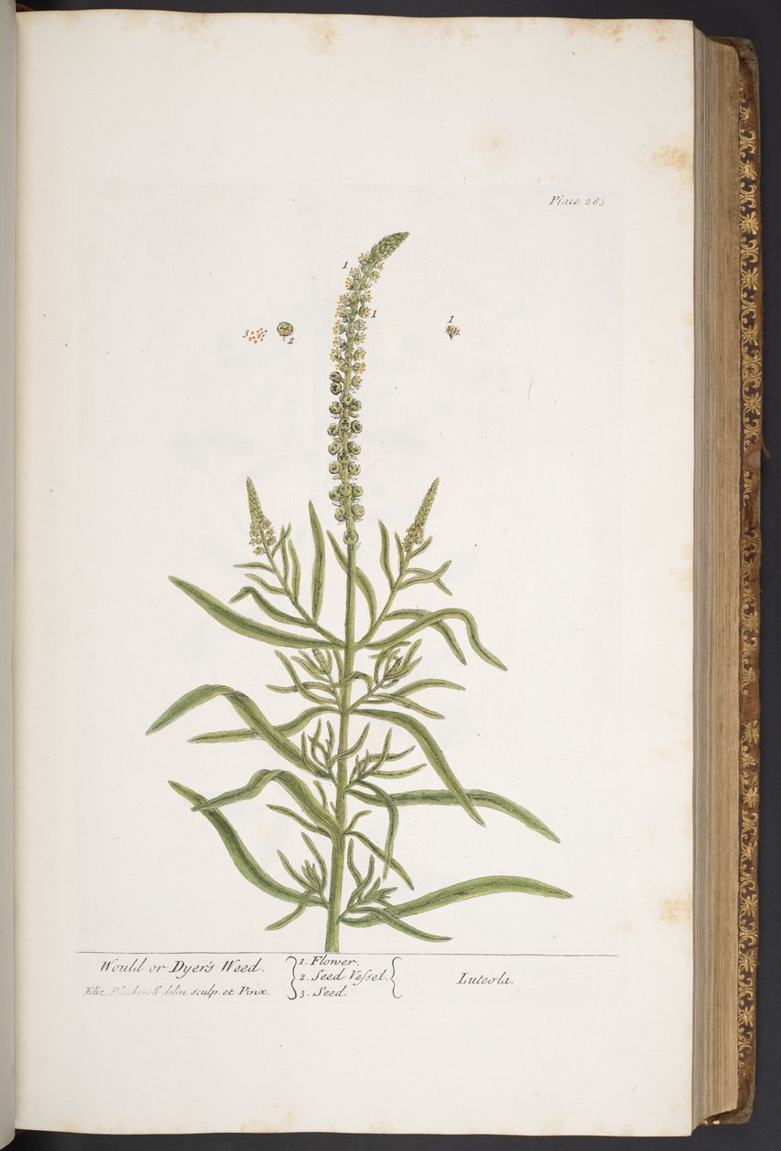 Tavola 283, da 