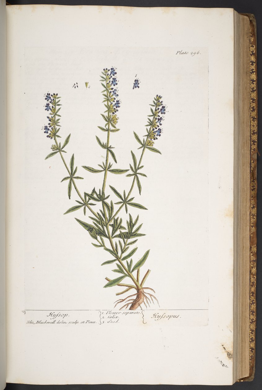 Tavola 296, da 