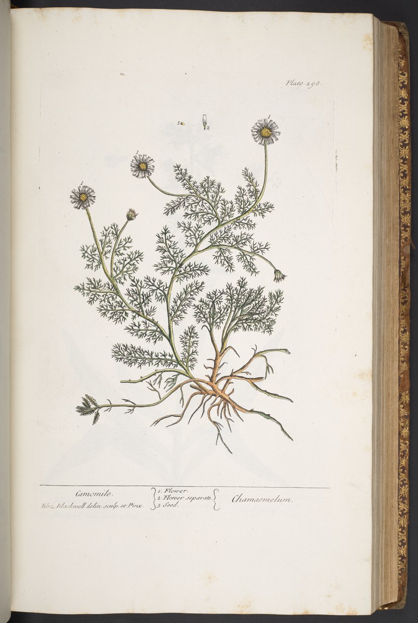 Tavola 298, da 