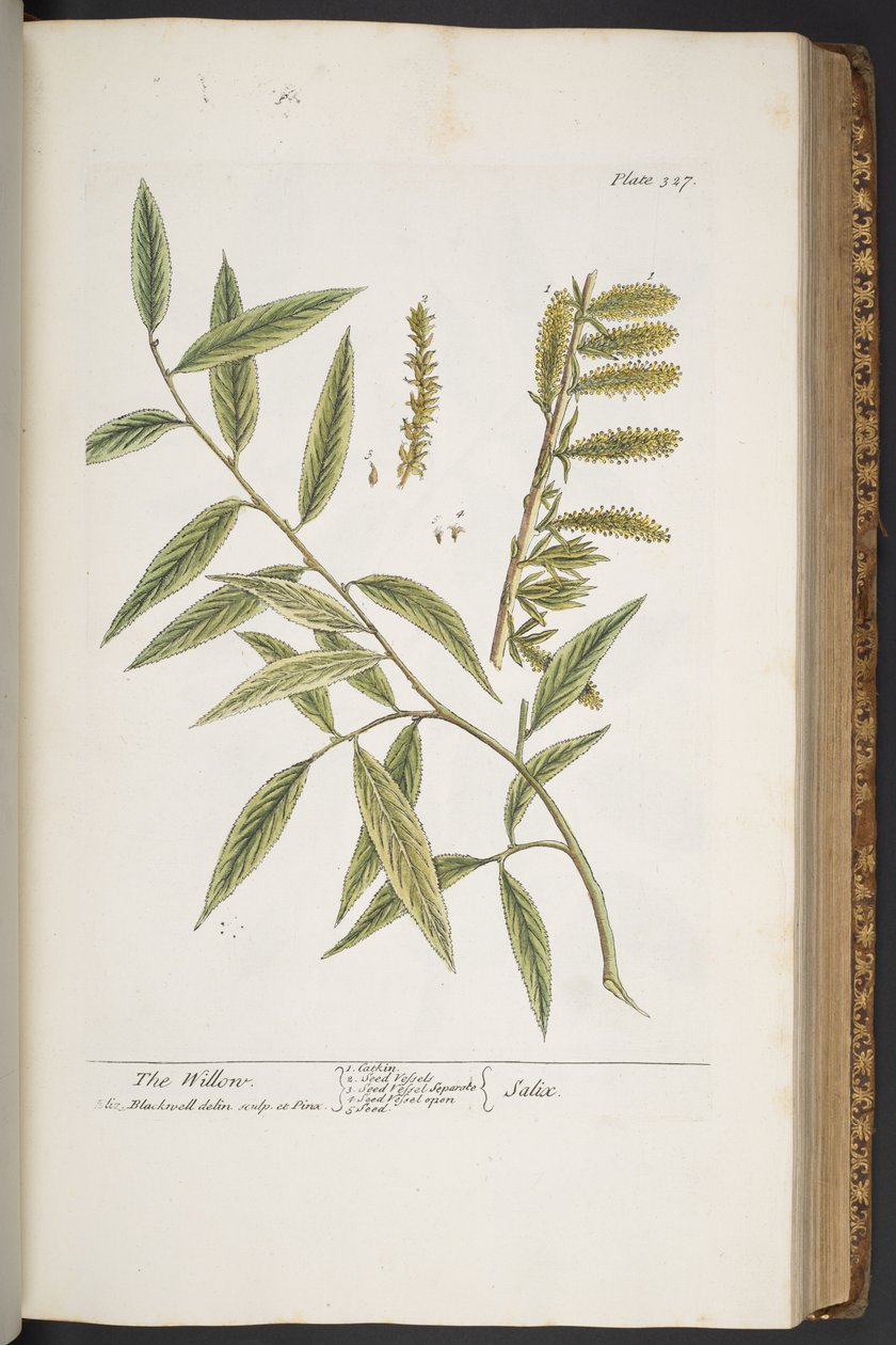 Tavola 327, da 