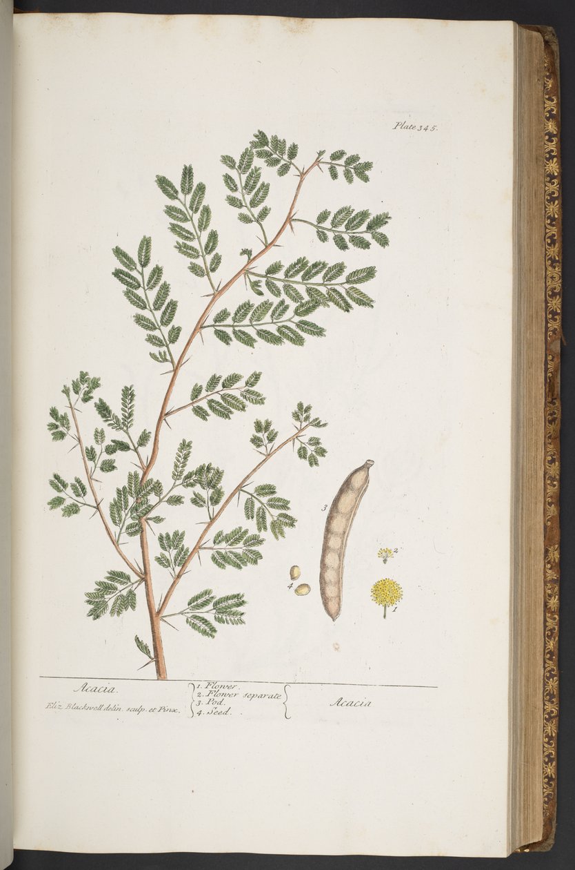 Tavola 345, da 